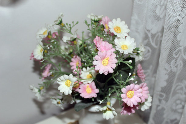 粉红色和白色的鲜花在一个宿舍图片下载