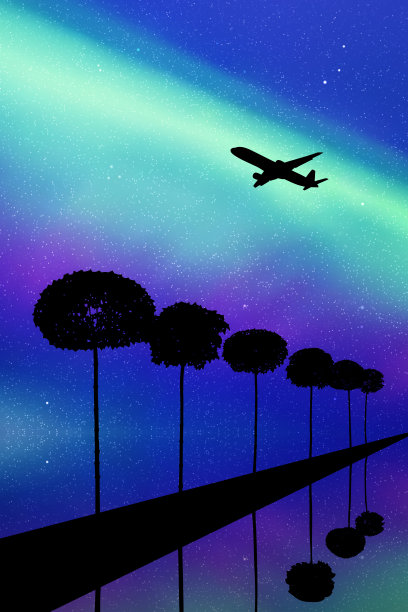 夜间有树木和飞行的飞机的景观图片下载