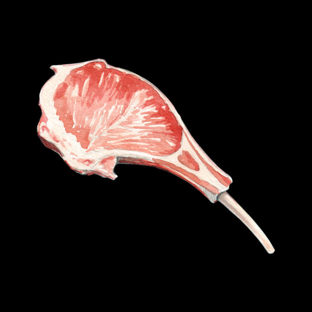 生肋肉水彩插图在黑色的背景图片下载