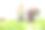 小企业企业家概念:肖像照片的年轻迷人美丽的亚洲妇女收获新鲜蔬菜沙拉从她的水培农场在温室送去市场销售之前。图片下载