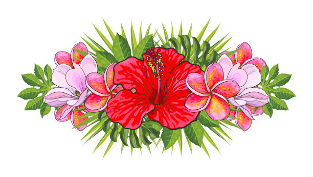 热带花美丽孤立的组成与手绘异国情调的花朵和棕榈叶。图片下载