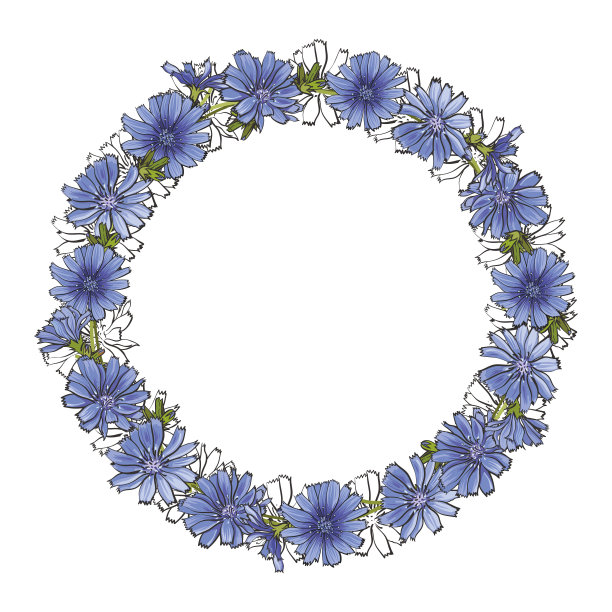 矢车菊扁钟花架图片下载