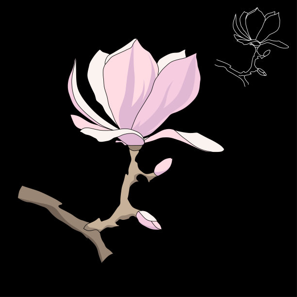 粉嫩的玉兰花。矢量平面风格。图片下载