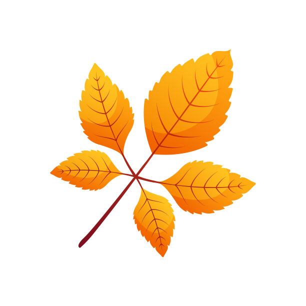 秋叶飘落，五彩缤纷。图片下载