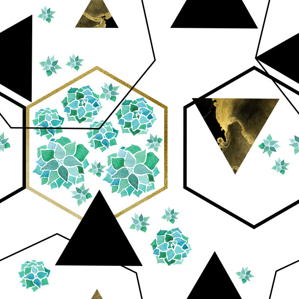 水彩多肉草和金色和黑色六边形和三角形几何极简主义现代无缝模式在白色背景图片下载