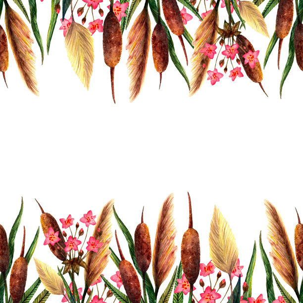 水彩沼泽和水植物，草本植物和花装饰装饰框架孤立在白色的背景图片下载