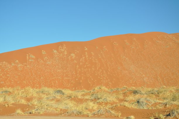 纳米布沙漠中的沙丘图片下载