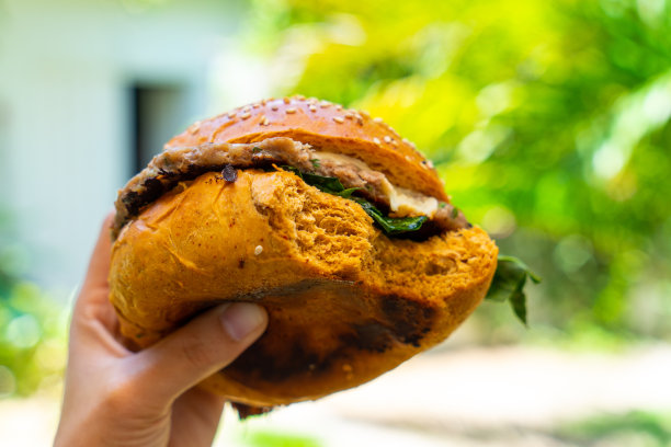 墨西哥的hunberger配炸土豆和猪肉图片下载