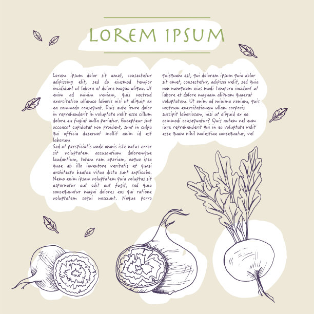 食物背景与甜菜根蔬菜手绘社交媒体模板与文本和笔触图片下载