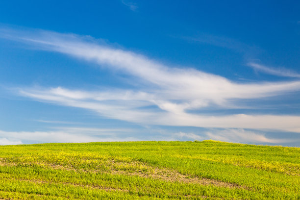 草地上有云的天空。图片下载