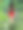 卡通美女穿着红衣服离开了绿色的灌木丛图片下载