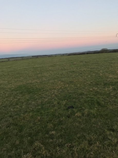 傍晚粉红色的天空图片下载