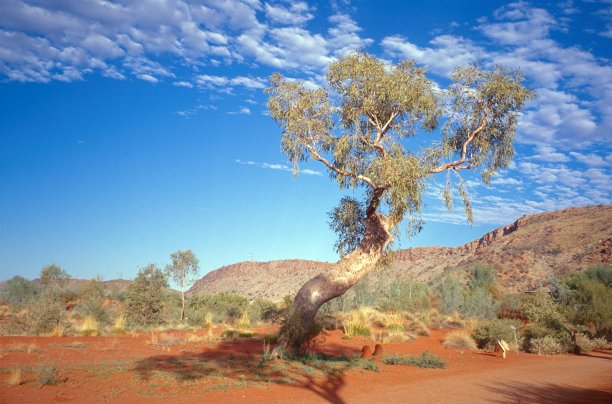 澳大利亚的风景图片下载