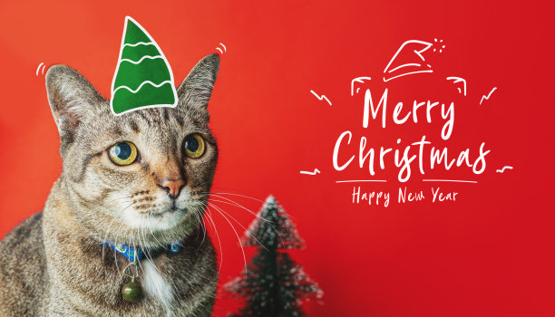 圣诞快乐，新年快乐与猫诺姆和圣诞树在红色的背景，节日贺卡图片下载