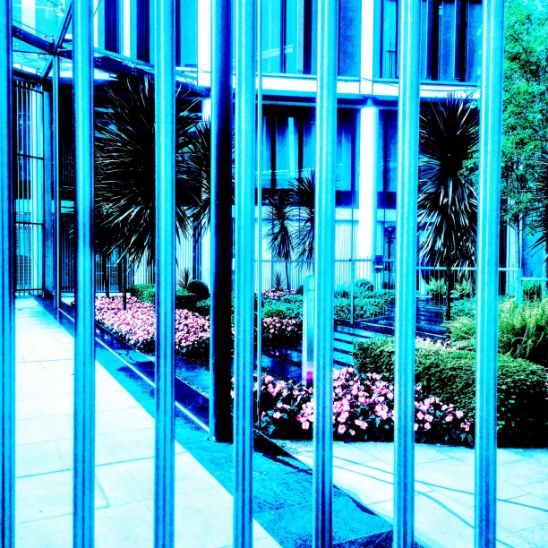 英国伦敦市中心骑士桥的鲜花。图片下载