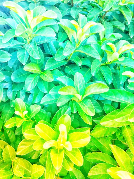 美丽的大自然图片下载