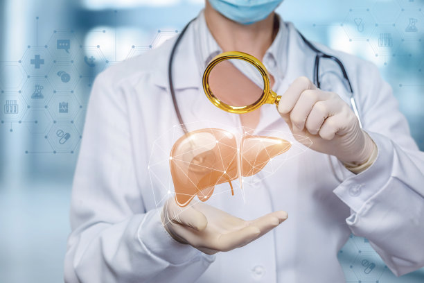 肝脏的概念研究。图片下载