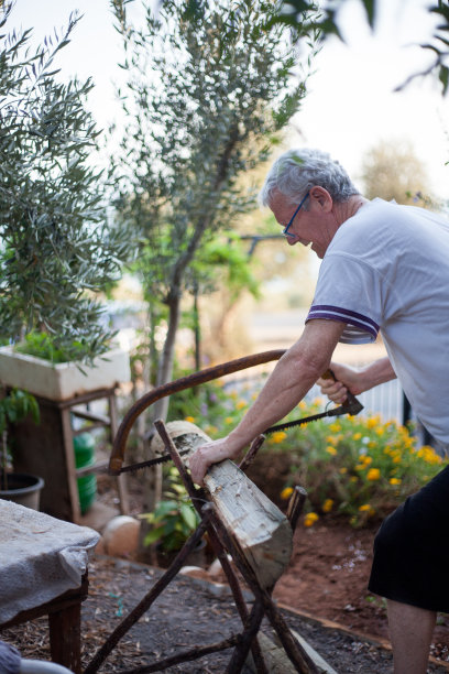 老人在花园里看到了原木的照片图片下载