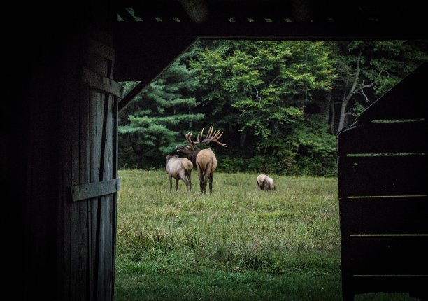 穿过谷仓的门图片下载