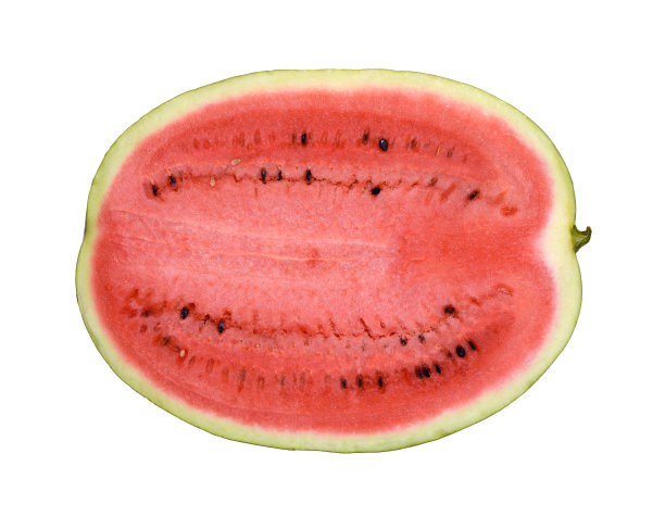 西瓜关闭图片下载