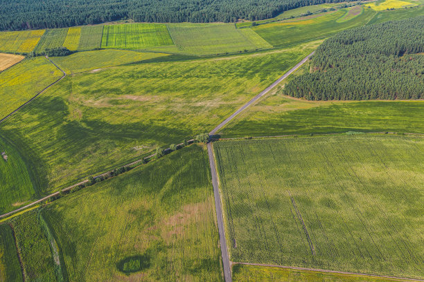 空中飞行，在夏天的时候，飞过有森林和田野的乡村。精彩的无人机生态概念照片图片下载