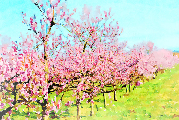 水彩画的花田图片下载