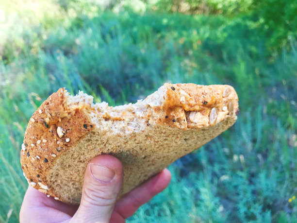 在户外野餐时，花生酱和果冻三明治会被拿着吃图片下载