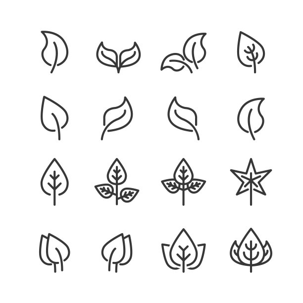 叶子图标线条矢量插画图片下载