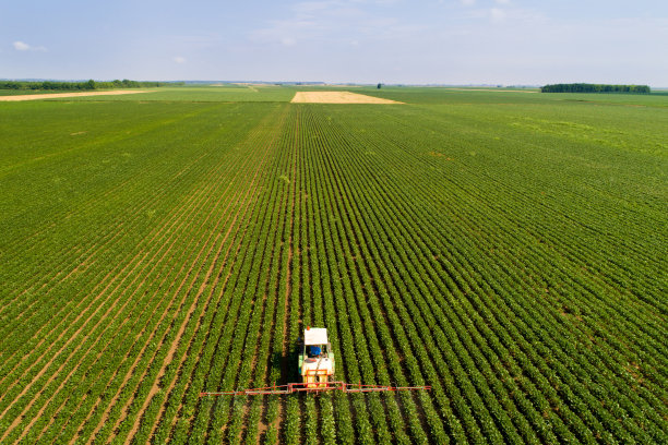拖拉机喷大豆田图片下载