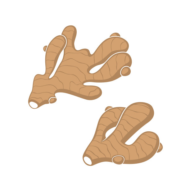 生姜根集图片下载