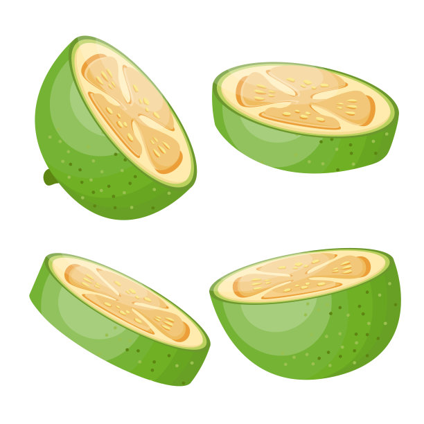 费约果插图集。卡通一套feijoa，矢量插图。图片下载