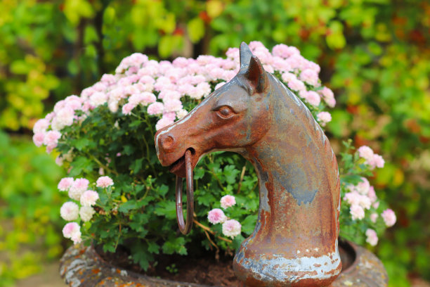 生锈的马雕塑图片下载