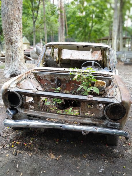 森林里生锈的旧车图片下载
