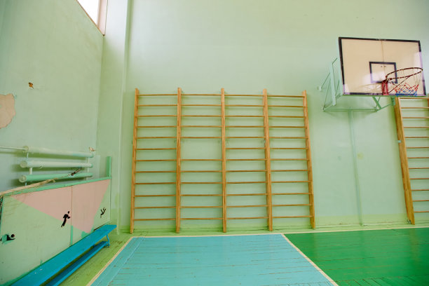 学校里空荡荡的体育馆，墙上挂着瑞典式的墙图片下载