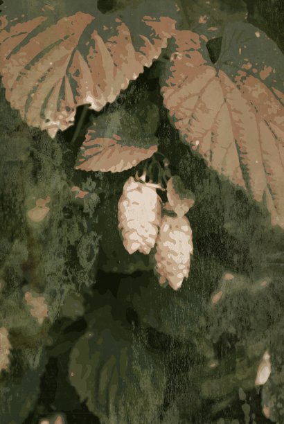 啤酒花生长在丝网印刷块印刷风格图形图片下载