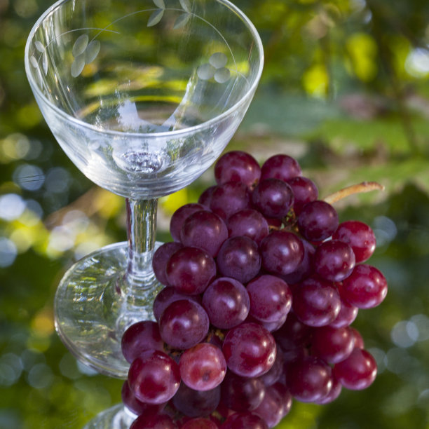 红葡萄酒杯图片下载