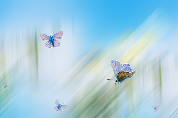 抽象的粉彩浅色背景，柔和的线条设计，图片下载