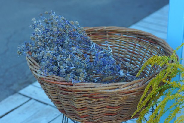 一束灰蓝色的花放在棕色的柳条篮子里图片下载