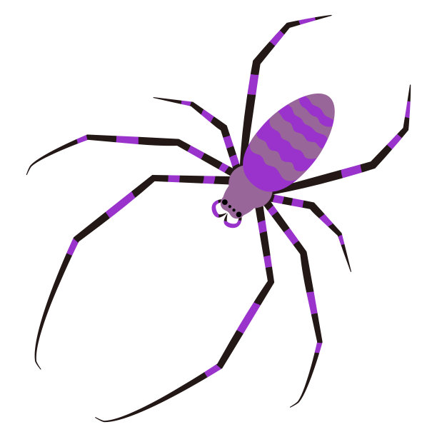 蜘蛛插画剪辑艺术图片下载