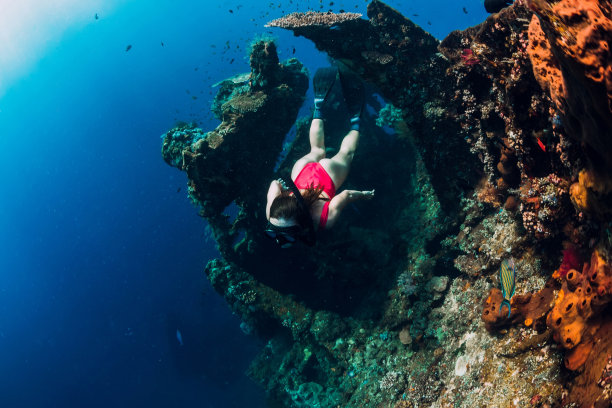 女自由潜水者在沉船上用鳍滑翔。在沉船附近的蓝色海洋里自由潜水图片下载