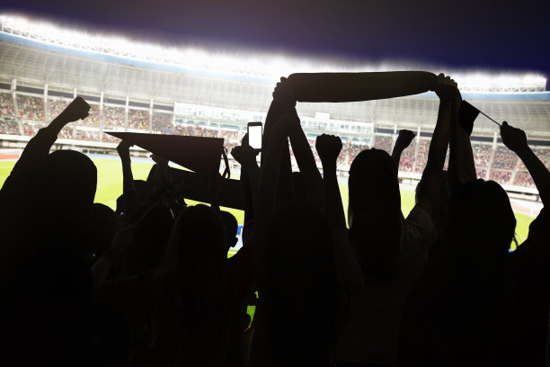 比赛期间，观众在竞技场欢呼和庆祝图片下载