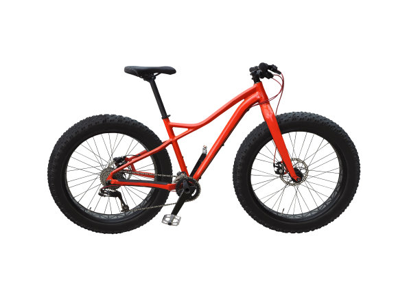 脂肪自行车孤立图片下载