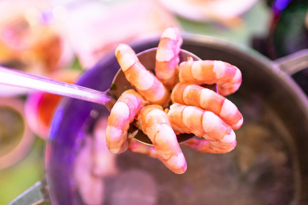 喜欢吃煮虾、涮涮锅和素喜烧图片下载