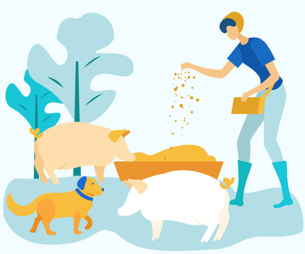 女人在农场喂牛。矢量插图。图片下载