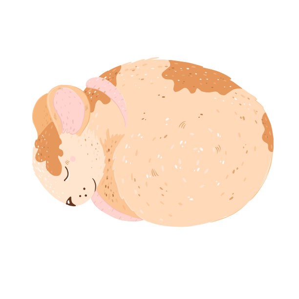 那只小老鼠蜷缩着睡觉，背上有棕色的斑点图片下载