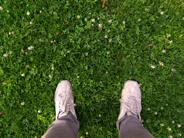 脚在草地上。图片下载