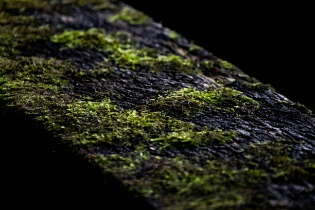 一座旧桥的微距镜头图片下载