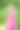 公园里的年轻女士图片下载