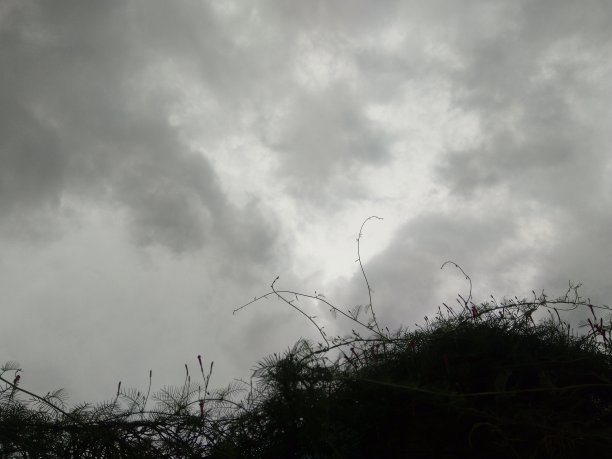 晴朗的天空图片下载