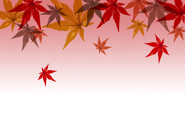 秋天的落叶图片下载